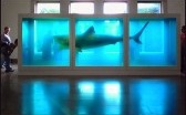 Damien Hirst
