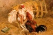Benedito José de Andrade, Briga de Galos, déc 1940 (Oóleo sobre tela) Coleção Particular