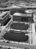 O novo campus da UCSF em implantação [Carlos Leite]