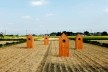 Terreno em Saitama<br />Photo Wakabayashi Hayato  [Atelier Ichiku]