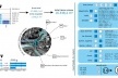 Figura 9 - Complexo da lagoinha: Diagrama de Meso-Estrutura (índices ambientais, poluição, etc)
