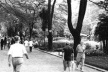 Parque Piqueri, São Paulo