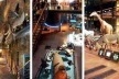 Grande Galeria da Evolução, Paris. Diversidade da vida marítima e terrestre