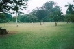 Praça com massa de vegetação ao fundo. Parque do Ibirapuera<br />Foto Wesley Macedo, 2004 