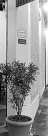 Arquitetura favorece encontro Arquitetura favorece encontro