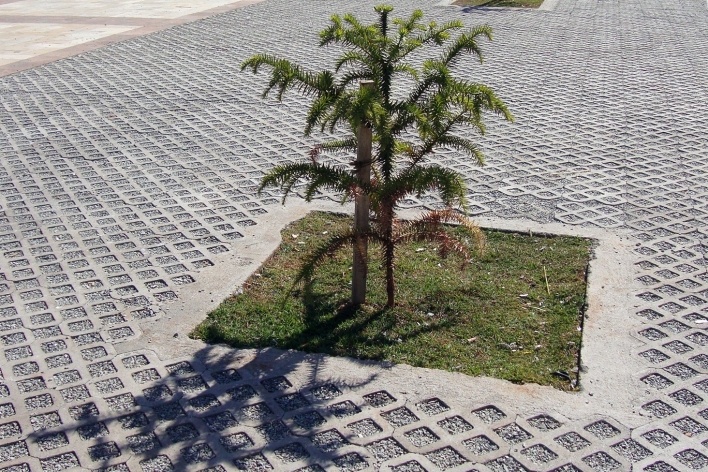 Renovação do Largo da Batata<br />Foto Michel Gorski