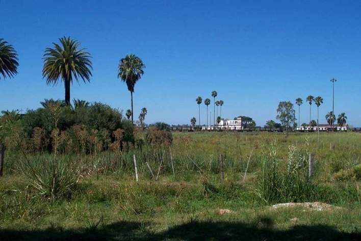 Foto 3: Vista em direção à casa-grande desde a igreja. Pode-se ver à esquerda o coreto escondido pela mata, os vagões ferroviários e as fachadas da casa do Visconde antes de ruírem