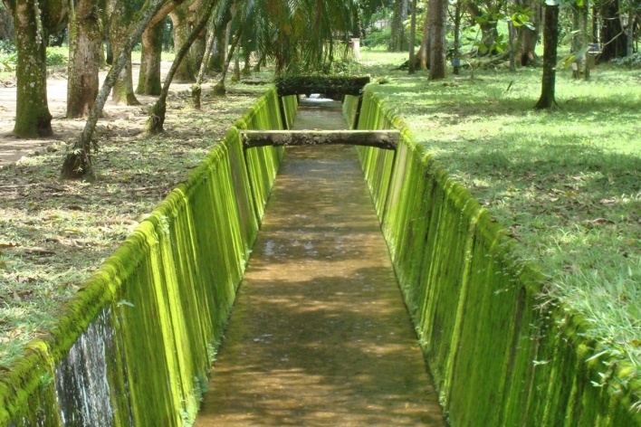 Canais que cruzam o Jardim Botânico