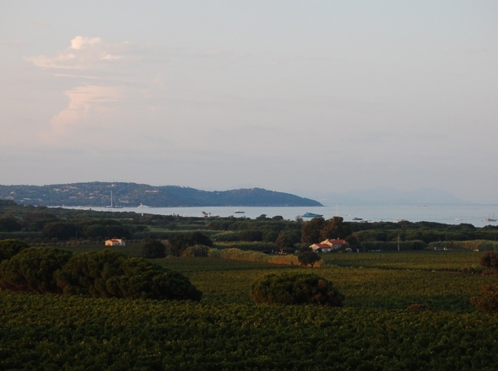 Ramatuelle<br />Foto Marcio Cotrim