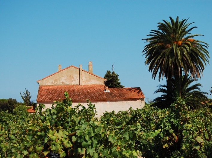 Ramatuelle<br />Foto Marcio Cotrim