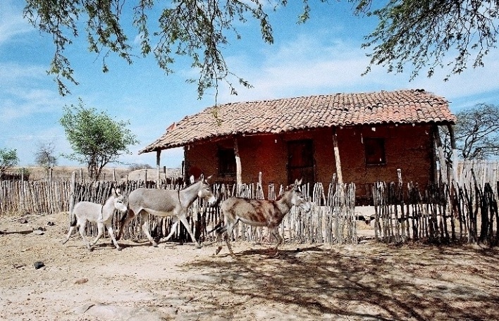 Quixadá, Ceará. Casa de pau-a-pique<br />Foto José Albano 