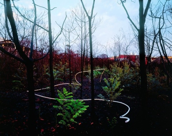 Exposição O jardim<br />Foto Pedro David
