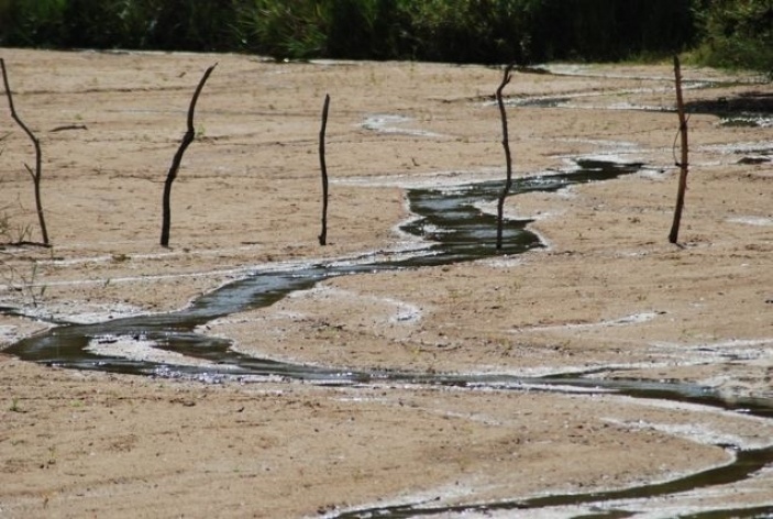 Aspecto do leito assoreado do rio Itinga, abaixo do povoado de Santo Antônio, no município de Santa Cruz de Salinas MG<br />Foto Fabio Lima