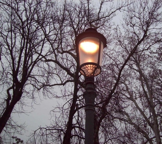 Parma, fevereiro de 2010<br />Foto Adson Cristiano Bozzi Ramatis Lima