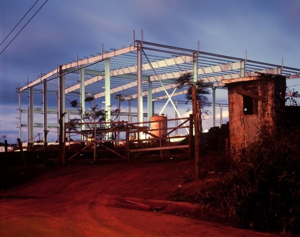 Exposição O jardim<br />Foto Pedro David