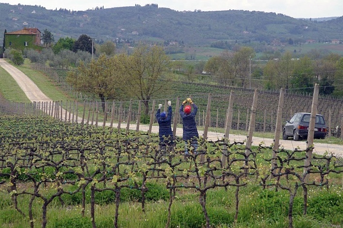 Paisagens da Toscana, Itália<br />Foto Flávio Bitelman