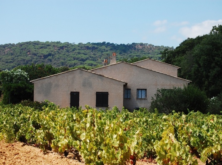 Ramatuelle<br />Foto Marcio Cotrim