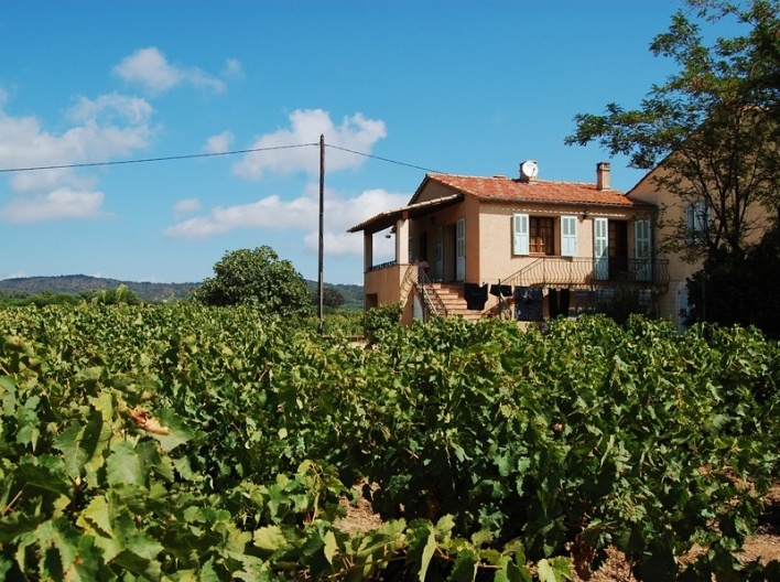 Ramatuelle<br />Foto Marcio Cotrim