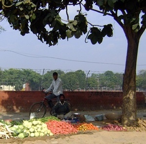 vendedor de legumes e frutas nas ruas de Chandigarh<br />Foto de Denise Teixeira e Luís Barbieri