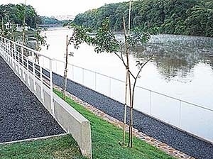 Rua do Porto, liberação da margem para implantação de trilha para pedestres, caminhos de pescadores e para replantio de vegetação nativa<br />Foto dos colaboradores do projeto