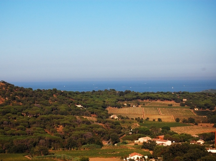 Ramatuelle<br />Foto Marcio Cotrim