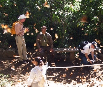 Mexicanos no "Santuário de la maripoza monarca"<br />Foto Sandra Barone