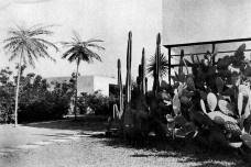 Lucio Costa, Gregori Warchavchik e Roberto Burle Marx: síntese entre arquitetura e natureza tropical (1)