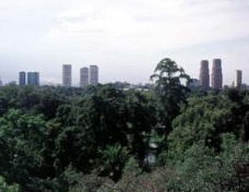 Paisagismo asteca