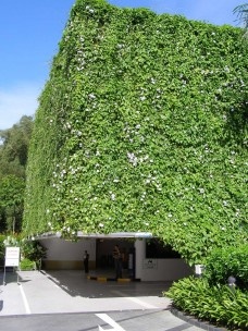 Jardins Verticais – uma oportunidade para as nossas cidades?
