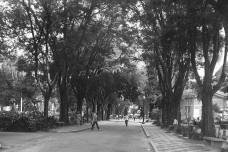 05e901449b98_perola_pqluz_05.jpg
