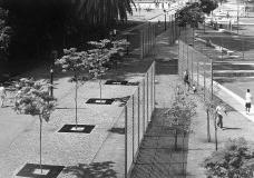 Um caloroso testemunho