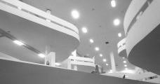 O fenômeno Bienal de Arte