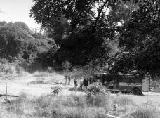 6327ed1944ea_rolnik01_pqaugusta.jpg