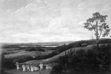 824a_249-01.jpg
