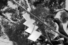 9f86_03.jpg