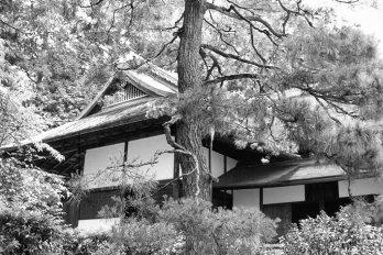 Koke-dera: entre Shugakuin e Katsura