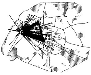 Levantamento de todos os trajetos efetuados durante um ano por uma estudante que mora no XVIème arrodissement de Paris. Publicado por Chombart de Lauwe em Paris et l´agglomération parisienne.