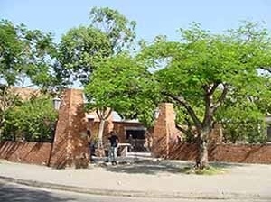 Contraste entre a vegetação e o ton avermelhado do tijolo que predomina na edificação