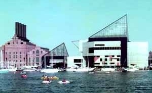 Aquário de Baltimore. <br />Foto de Vicente del Rio