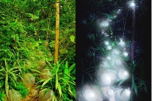 Esférica. Esferas, de dia e à noite, em meio à vegetação existente na linha de drenagem