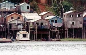 Figura 3 – Casas sobre palafitas no Rio Negro, adequadas às cheias do rio<br />Foto Beatriz Santos Oliveira