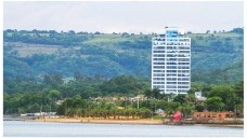 Autofagia e identidade