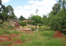 Recovery and environmental valuation in an Urban Park