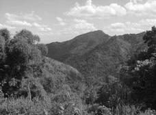 4f47_285-01.jpg