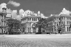 dabe_338-5.jpg